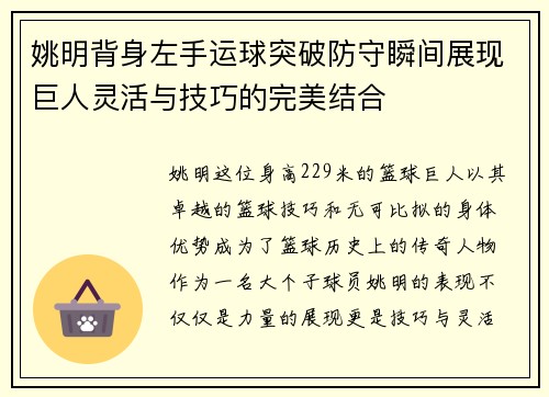 姚明背身左手运球突破防守瞬间展现巨人灵活与技巧的完美结合